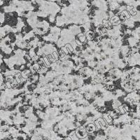  High Resolution Seamless Asphalt Texture 0007